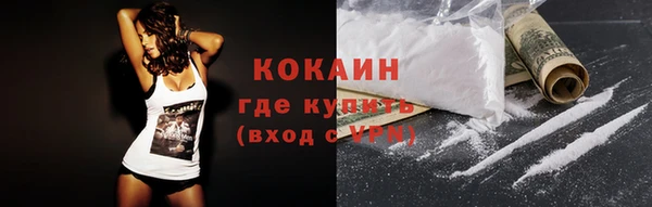 apvp Няндома