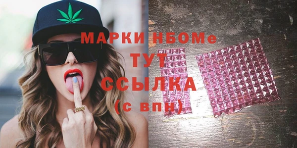 apvp Няндома