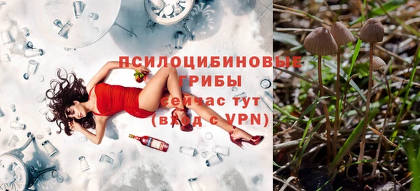 синтетический гашиш Новодвинск