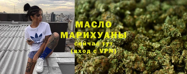 стафф Новозыбков