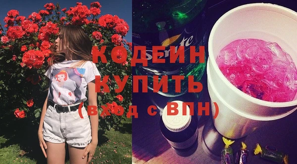 стафф Новозыбков
