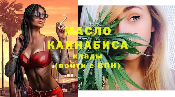 apvp Няндома