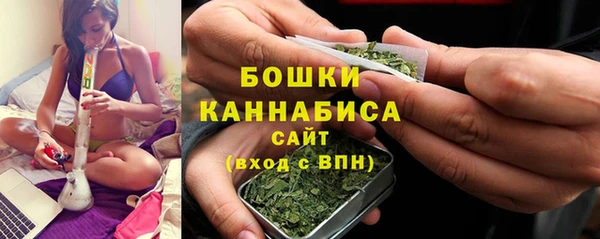 стафф Новозыбков