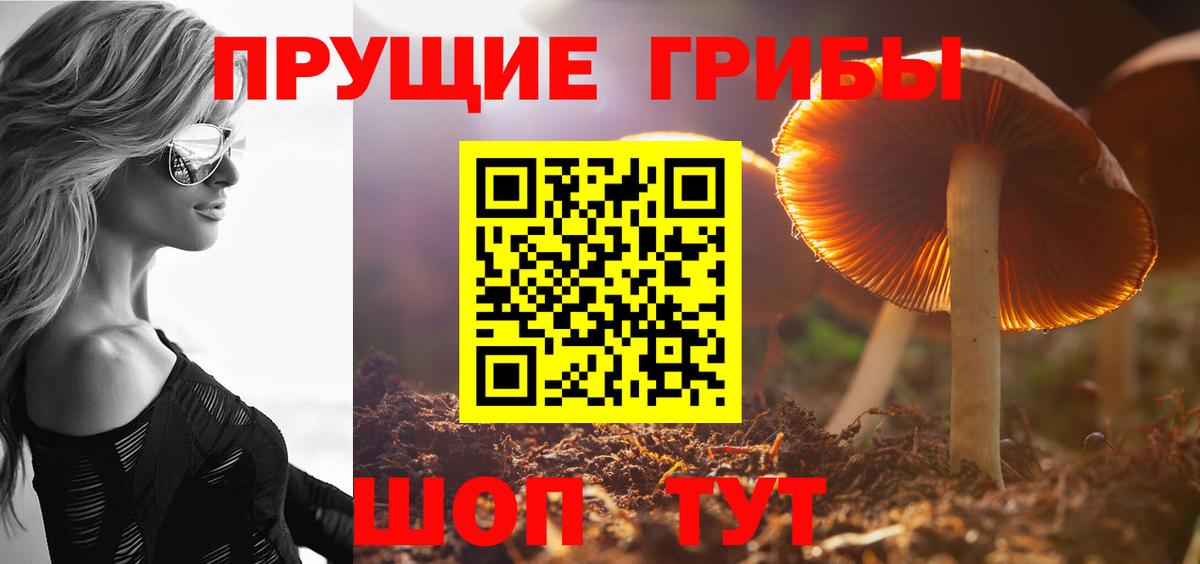 Галлюциногенные грибы GOLDEN TEACHER Ставрополь