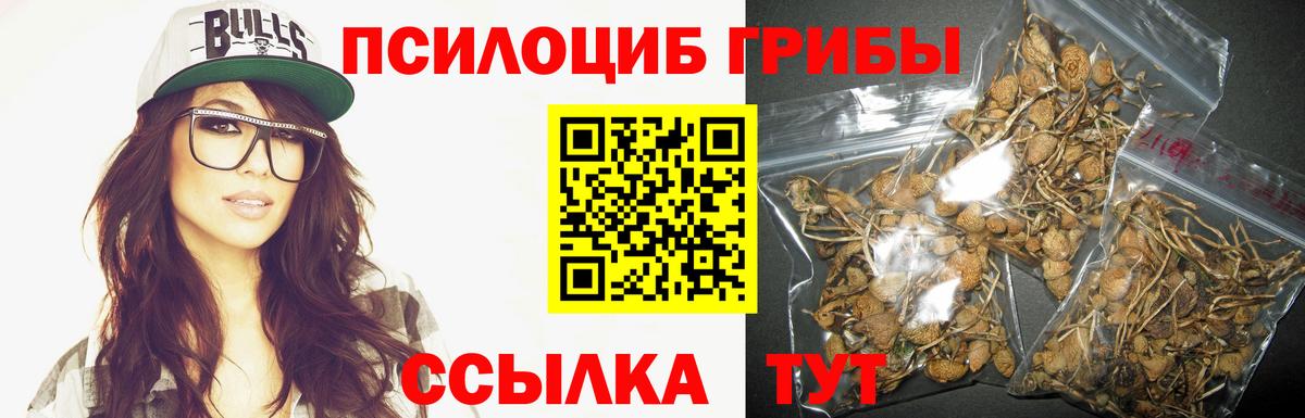 Кислота  МДМА  Ставрополь  Купить наркотики  Вход с VPN  Хмурый  МЕТ  Экстази  МЕФ  АМФЕТАМИН  Гарик  Бошки Шишки 