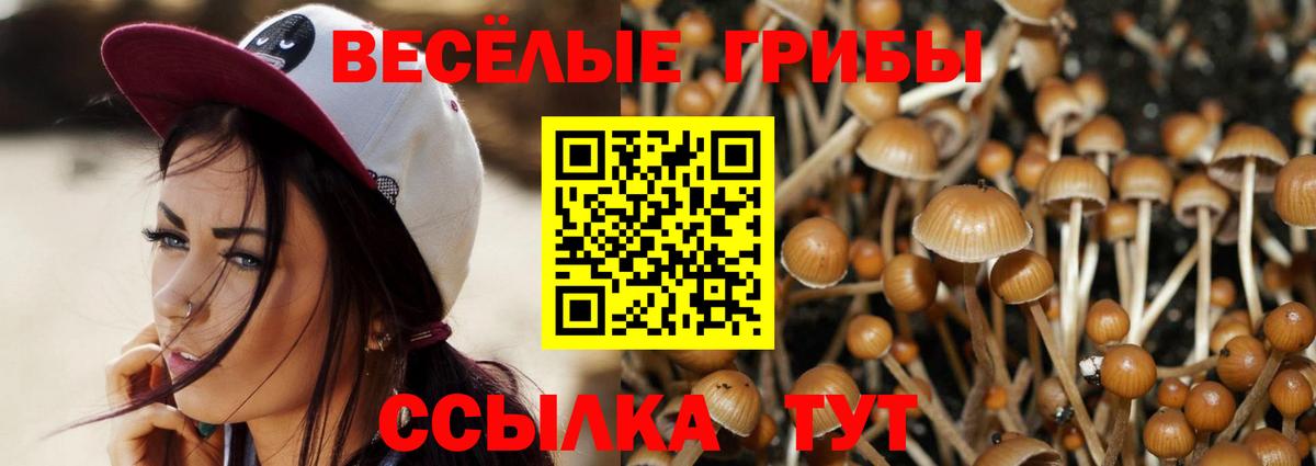 Галлюциногенные грибы Cubensis  Вход с VPN  Псилоцибиновые грибы GOLDEN TEACHER  купить   Ставрополь 