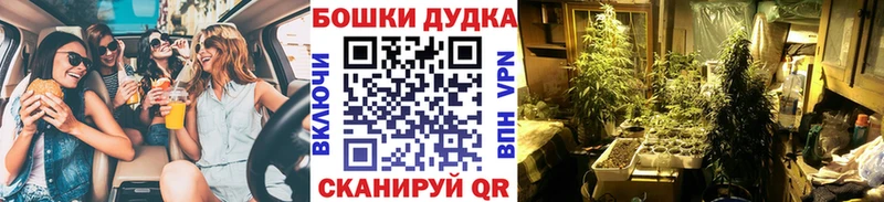 Бошки марихуана Amnesia Ставрополь