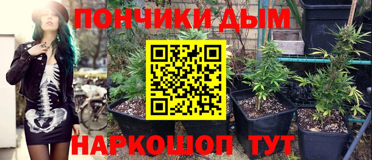 Конопля White Widow Ставрополь